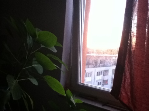 my angel's trumpet, who watched the sun rise with me